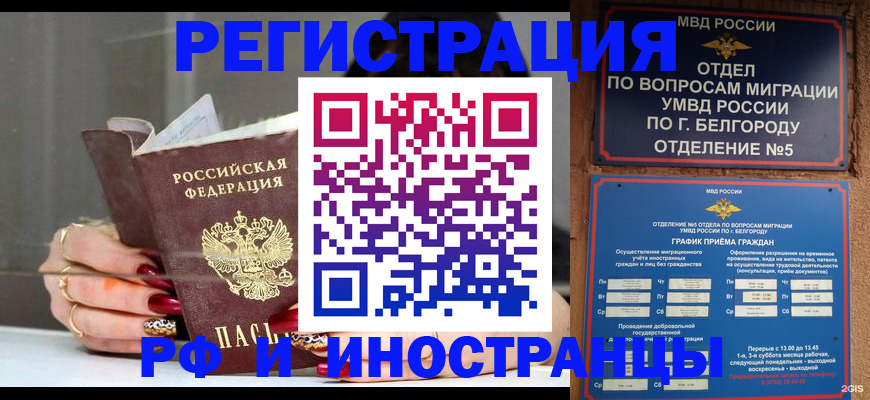 прописка в Невеле